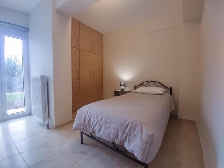 Cozy Modern Apartment อิโออันนินา ภายนอก รูปภาพ